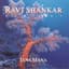 Ravi Shankar