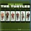 The Turtles