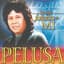 Pelusa