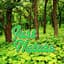 Sounds Of Nature