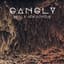 Gangly