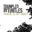 Trampled by Turtles