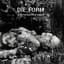 Die Form