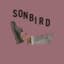 Sonbird