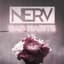 Nerv