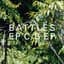 Battles