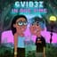 6VIB3Z