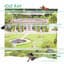 Idle Ray