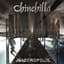 Chinchilla