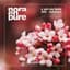 Nora En Pure