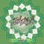 Haroon Al Rasheed