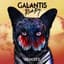 Galantis