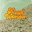 FLOYD WONDER