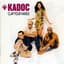 Kadoc