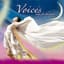 Voices