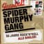 Spider Murphy Gang