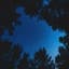 Silence Concertos