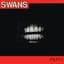 Swans