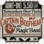 Captain Beefheart & His Magic Band