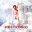 Mestrinho