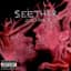 Seether