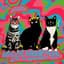 We Are Scientists