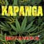 Kapanga