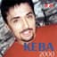 Dragan Kojić Keba
