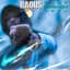 Raous gang
