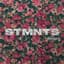 STMNTS