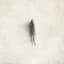 Eluvium