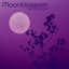 Bliss Phenomena