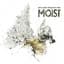 Moist