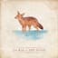 Jackal & the Wind