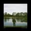 Dotan