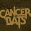 Cancer Bats