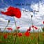 The Last Post