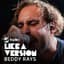 Beddy Rays