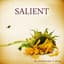 Salient