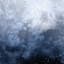 Wolves in the Throne Room