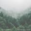 Rain Story