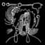 Godspeed You! Black Emperor