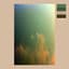 Slowdive