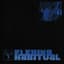 The Flashbulb