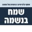 ליאור נרקיס