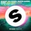 Sander van Doorn