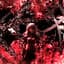 XXANTERIA