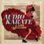 Audio Karate
