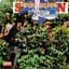 Savoy Brown