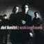 Del Amitri